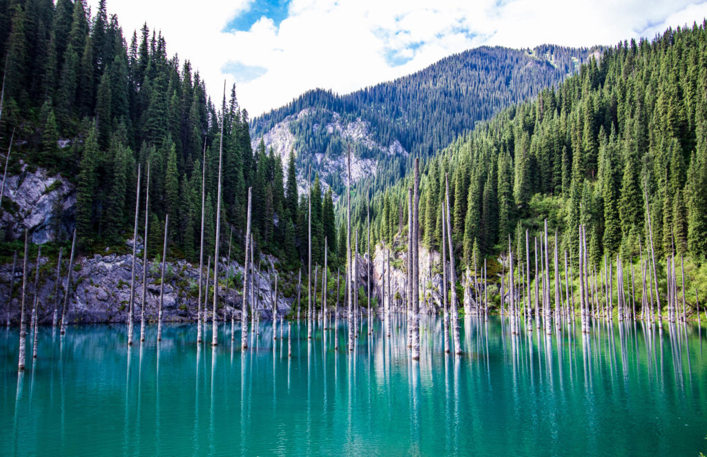 Kaindy lake with sunken forest