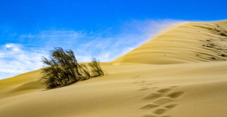 Golden sands of a singing dune in Altyn Emel Kazakhstan