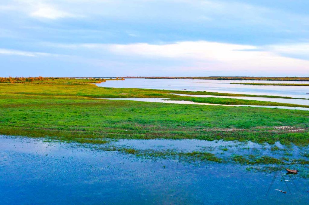 A vast green wetland area formed by the Ili river in Kazakhstan when the river flows in to the reservoir Kapshagay