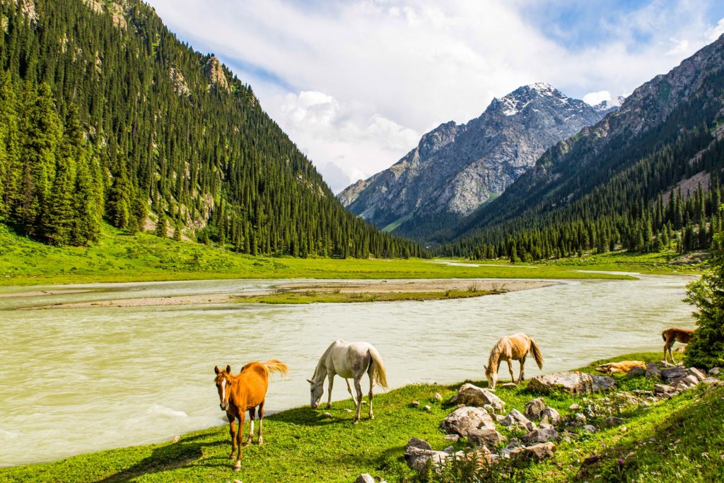 Altyn Arashan valley in Kyrgyzstan near Karakol