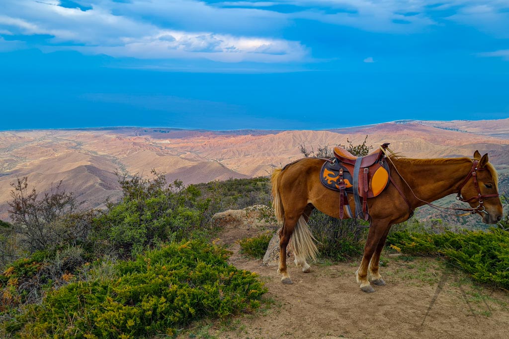 Uzbek Journeys: Kyrgyzstan: The Hermes Scarf and the Appaloosa Horse