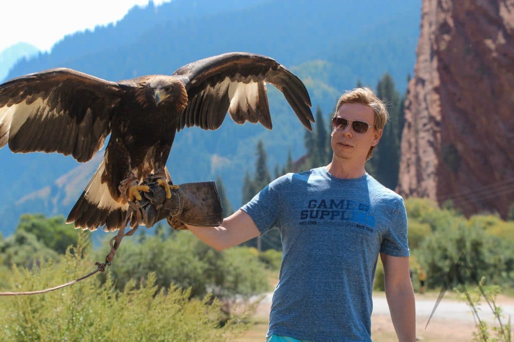 Eagle hunting eagle in Issyk Kul