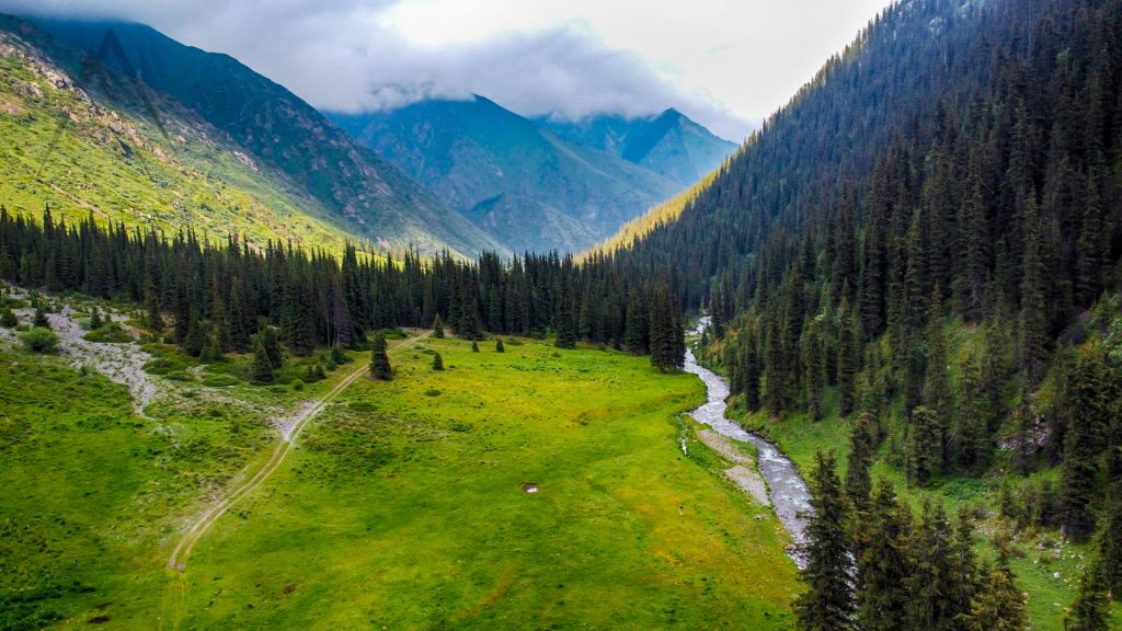 Shamsi valley with forest
