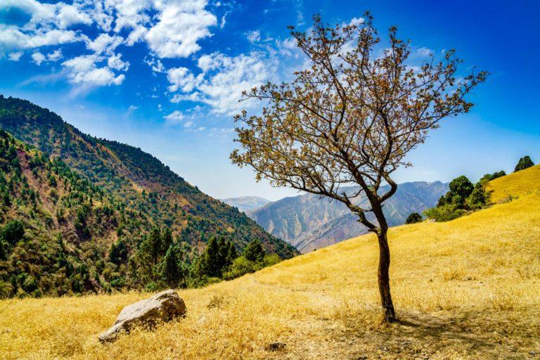 Shirkent national park