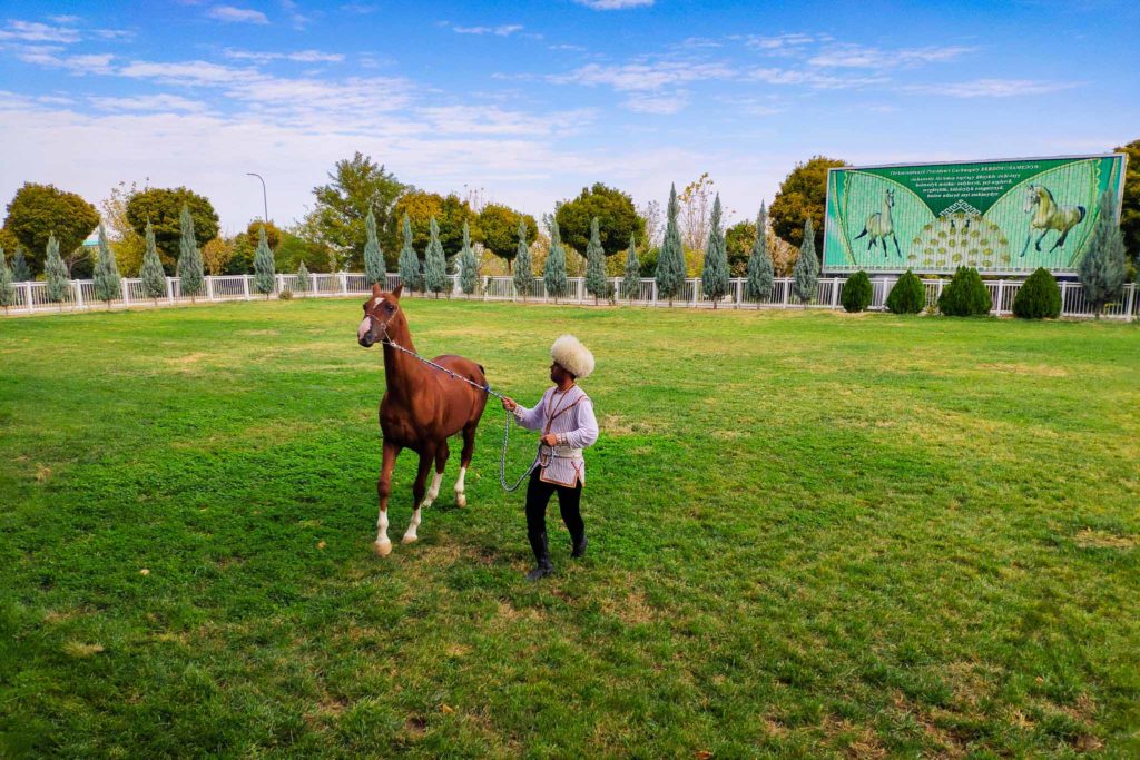 ahal teke horse breed, Turkmenistan
