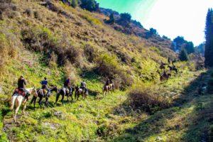 Trekking di Alay e tour a cavallo di Sary-Chelek
