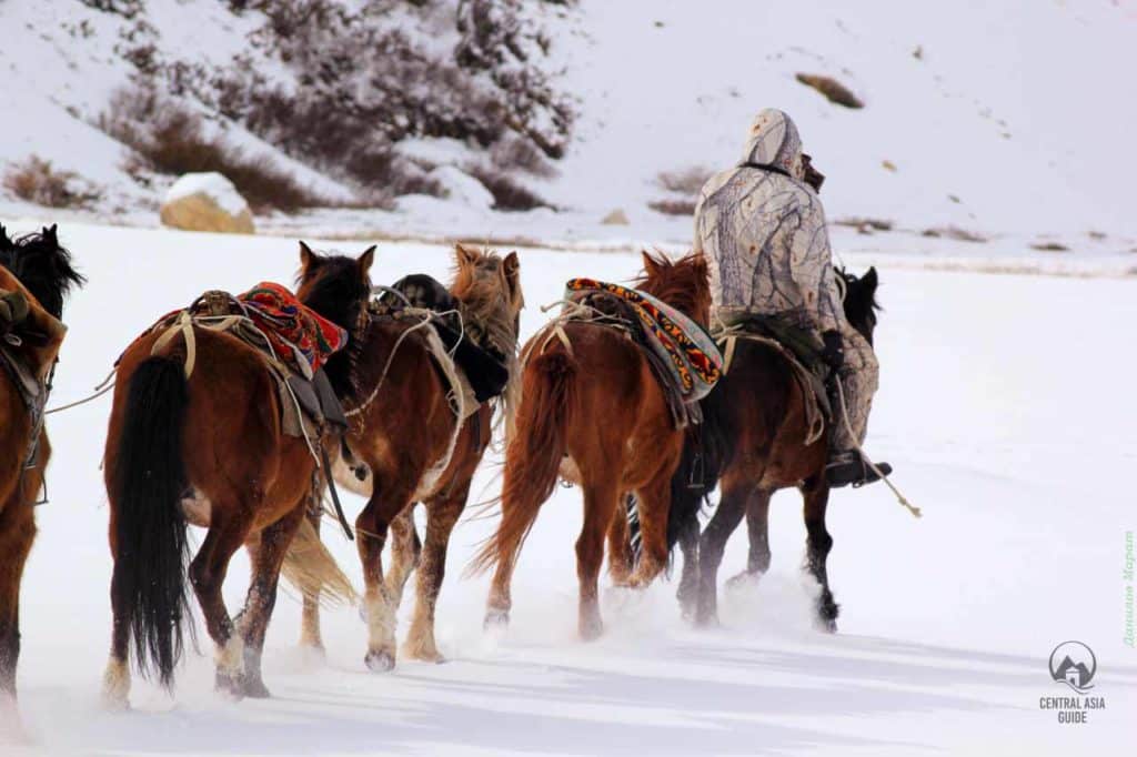 4 days Winter Horse riding tour to Son Kul