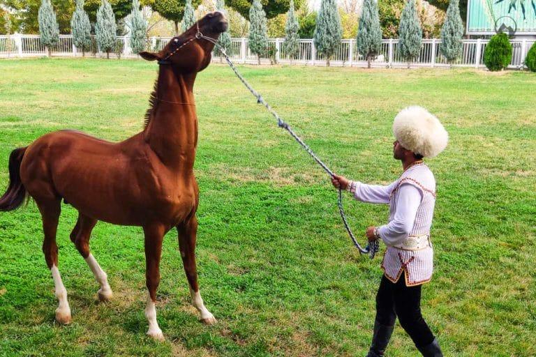 Turkmenistan 6 days tour