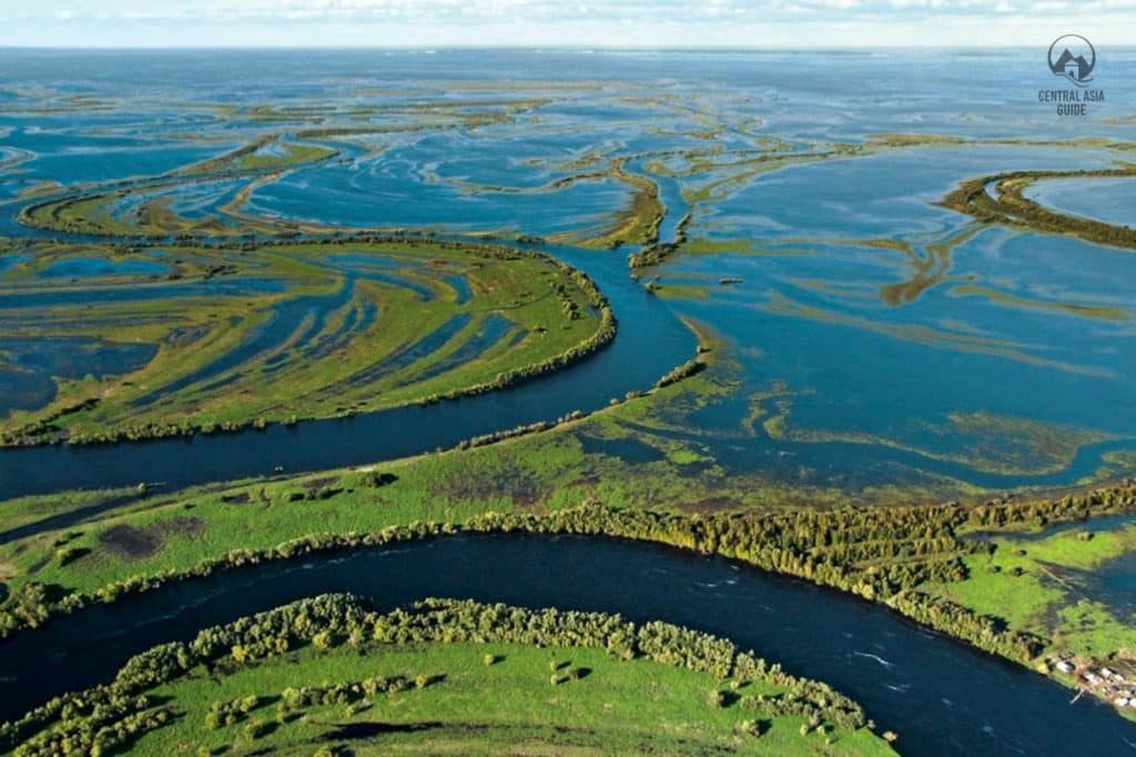 Irtysh wetlands in Kazakhstan