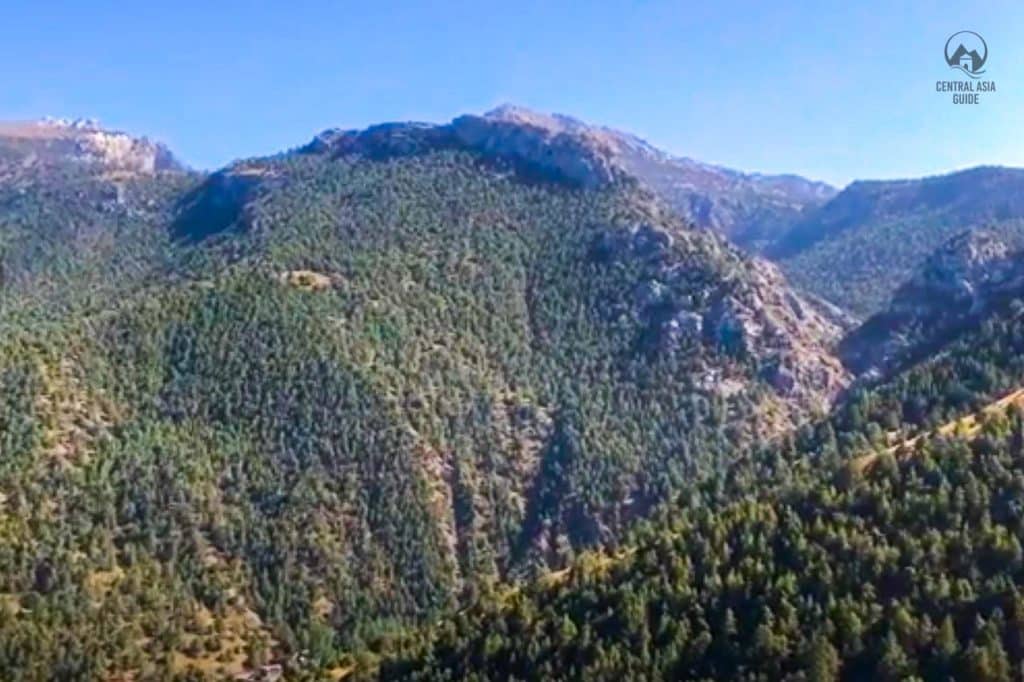 Zaamin mountain forest