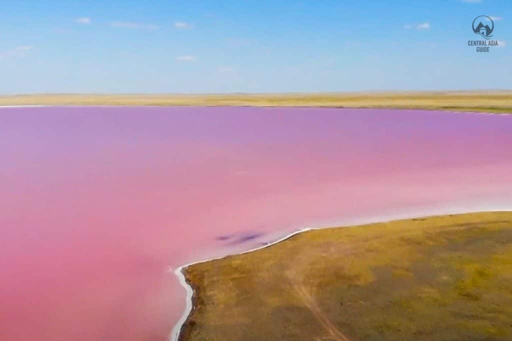 Kazakhstan's pink lake near Astana