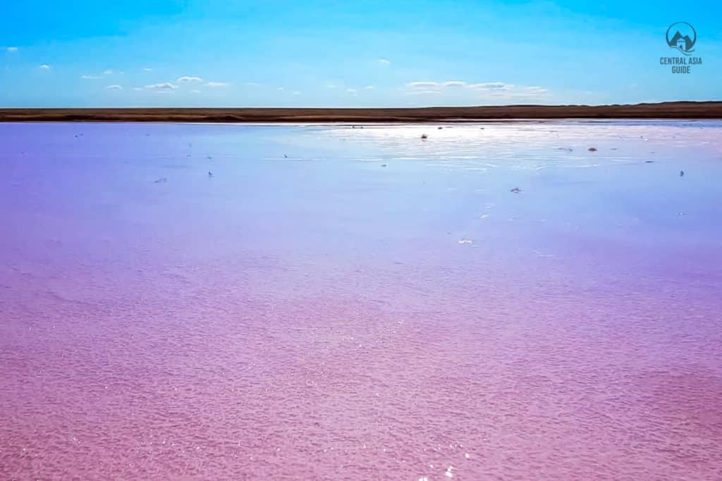 Pink lake in Kazakhstan