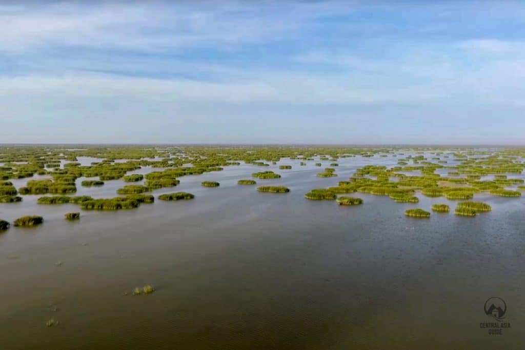 Atyrau wetland on the Caspian Sea