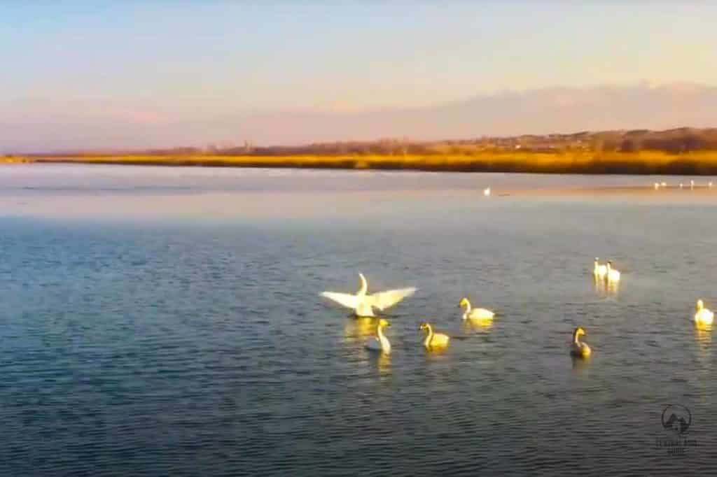 Ak Bulun nature reserve in Issyk Kul