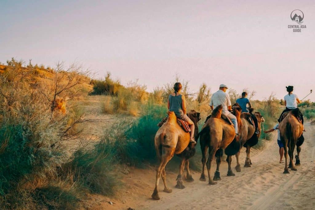 Bactrian camel riding in Central Asian desert