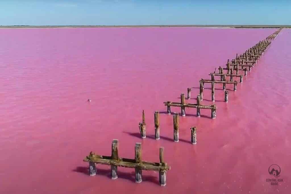 Old bridge in the pink lake