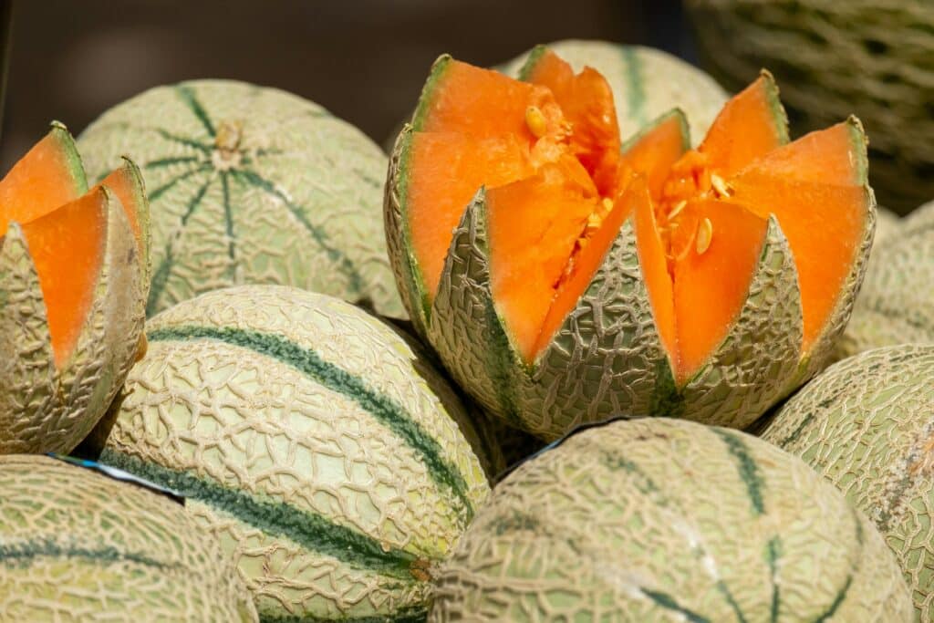 Melon festival in Turkmenistan