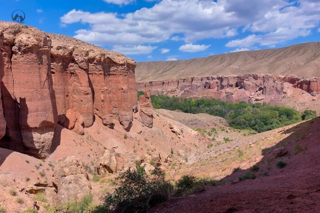 Bastarmak Charyn canyon