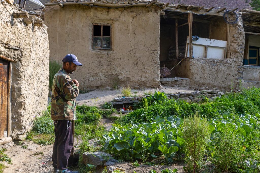 Pamiri man taking care of his tobacco plantation in Jizev village in Pamir Bartang area