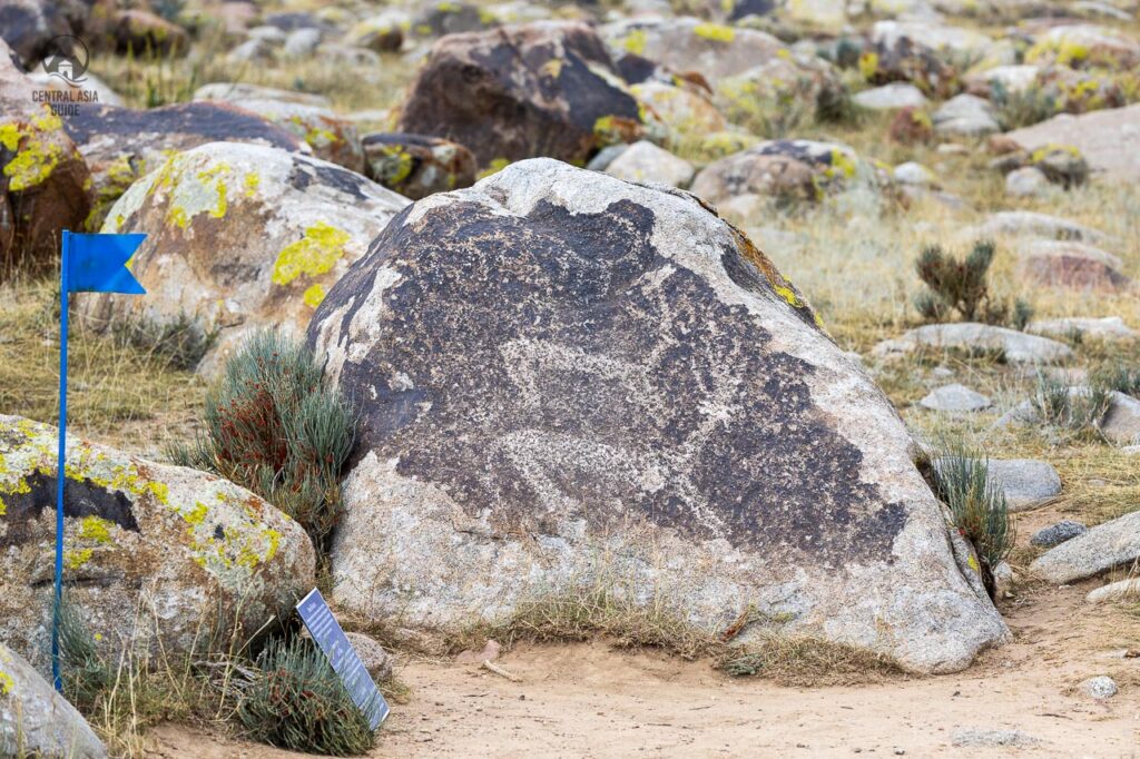 Petroglyps depicting animals in Cholpon Ata outdoor museum