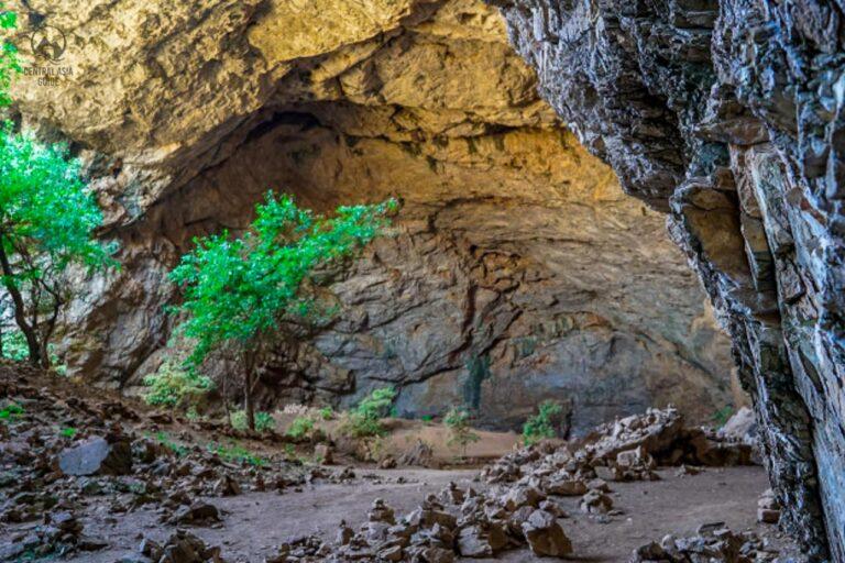 Trees inside Ak Meshit cave