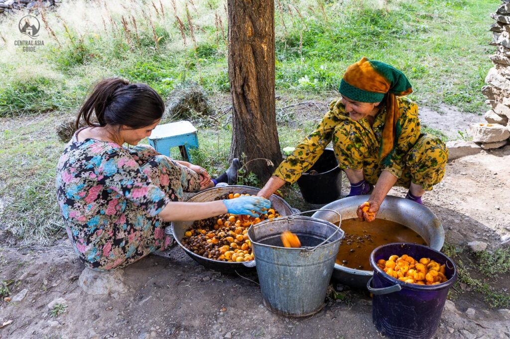 Pamiri woman and girl removing apricot pits before drying them