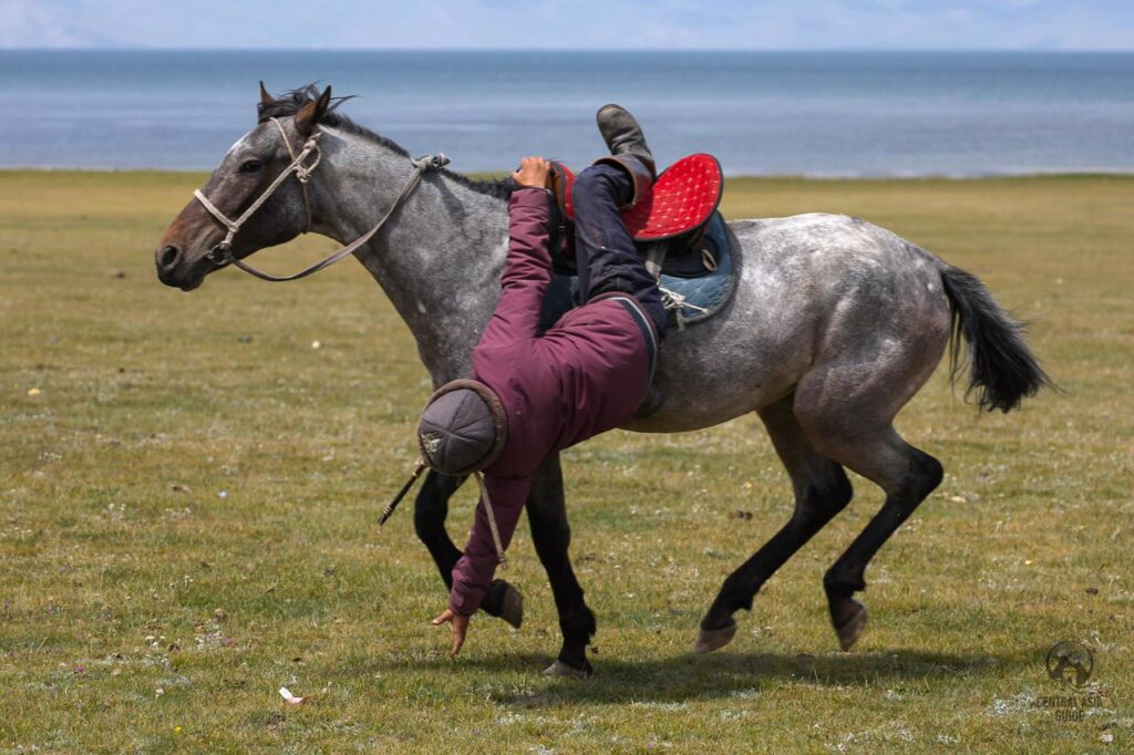 Picking up a coin or money from the ground while riding is called Kume Alu in Kazakhstan and Tiyin Enmei in Kyrgyzstan