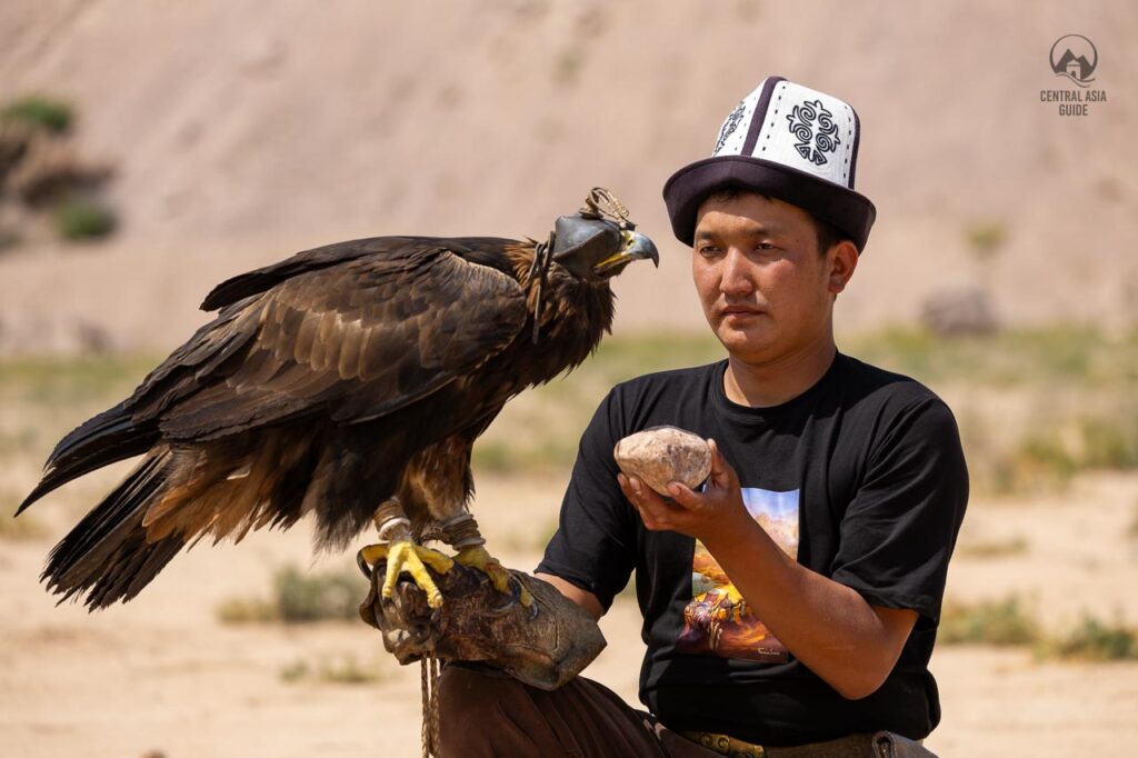 Eagle beak sharpening stone in the hand of Kyrgyz trainer