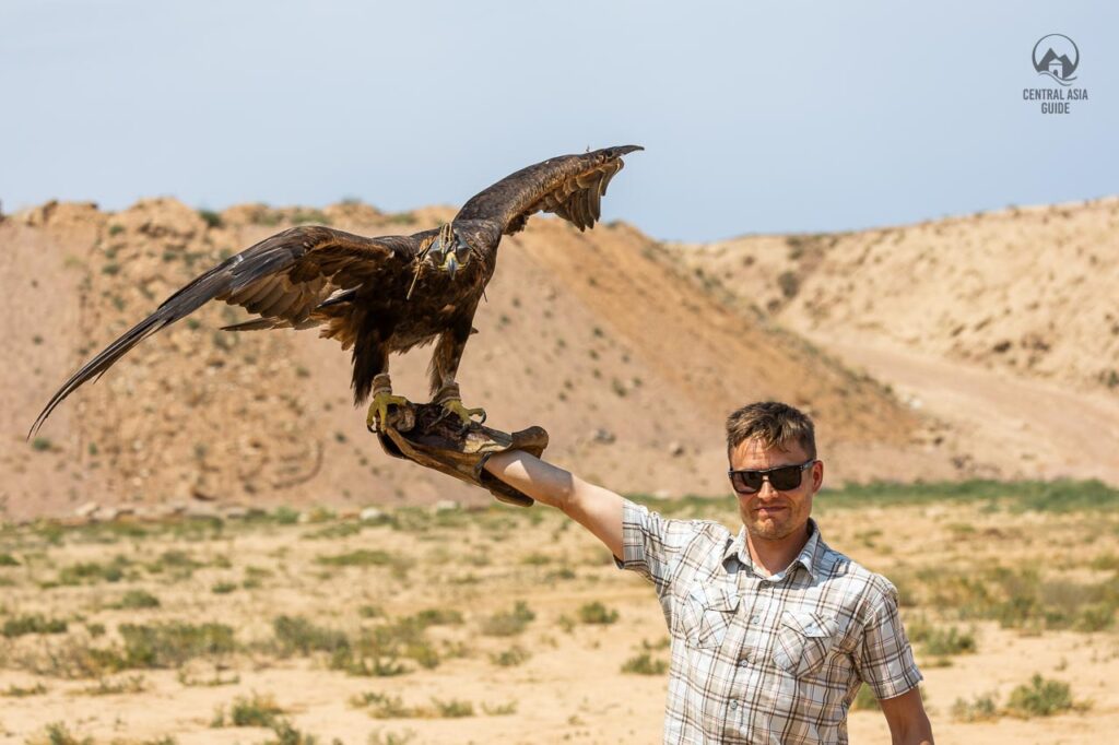 Tourist holding an eagle in his hand in Kyrgyzstan