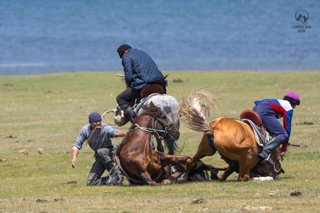 Kok Boru horses falling in Kyrgyz horse game in Son Kul