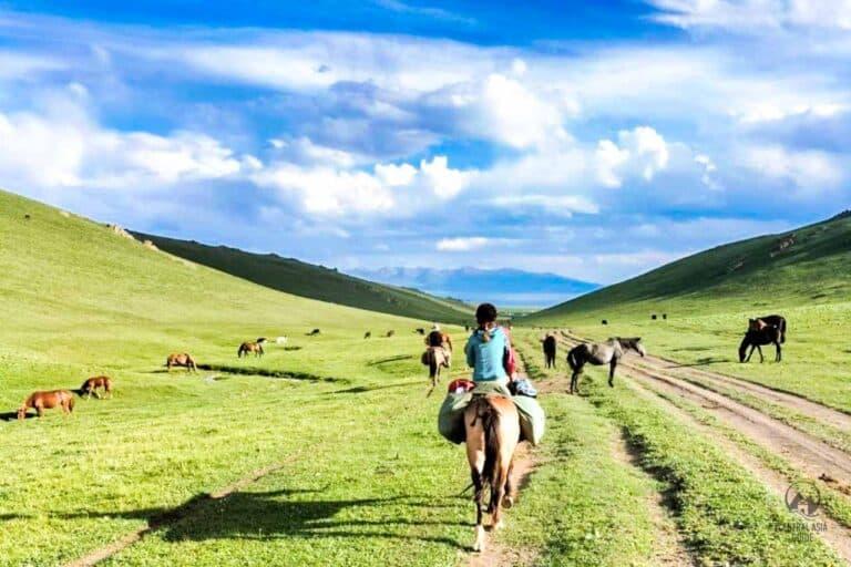 horseback riding tour