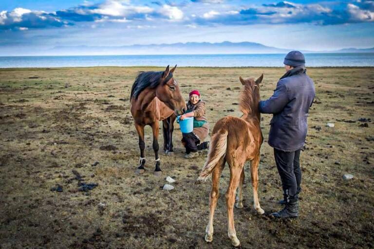 Women milking a horse in Son Kol, Kyrgyzstan